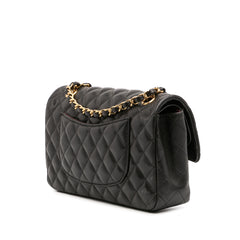 Medium Classic Lambskin Double Flap
