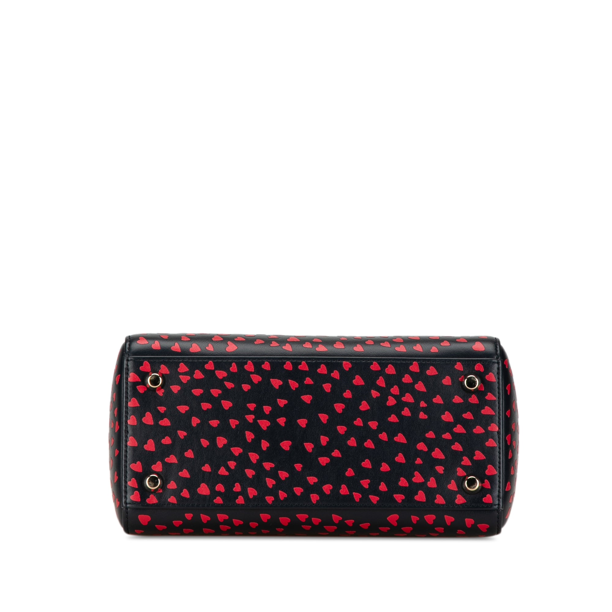 Medium Calfskin I Love Paris Lady Dior
