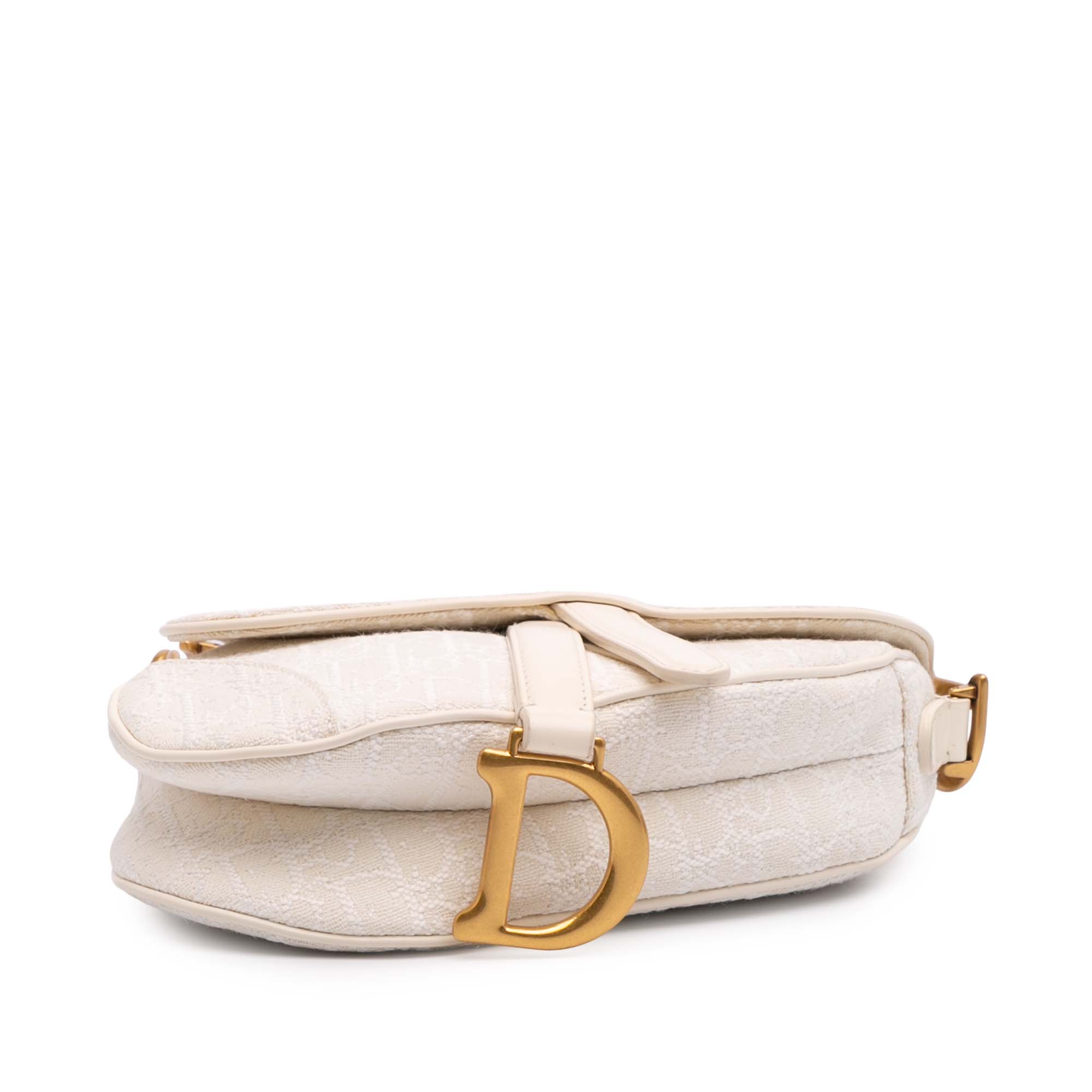 Mini Oblique Canvas Saddle Bag