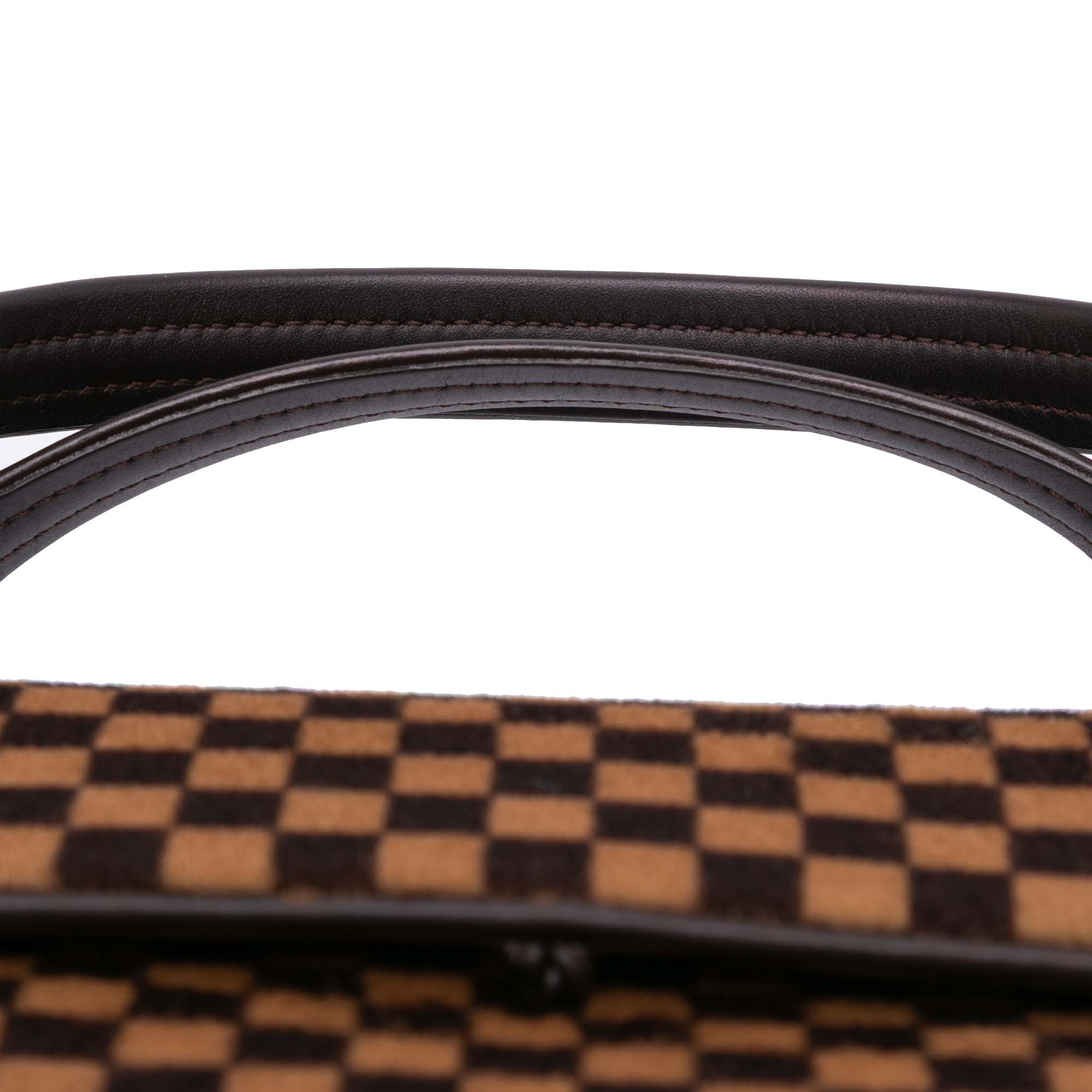 Damier Sauvage Lionne