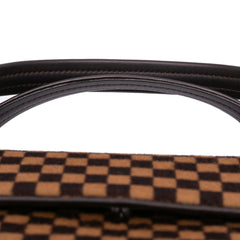 Damier Sauvage Lionne