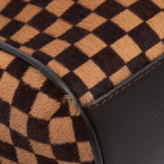 Damier Sauvage Lionne