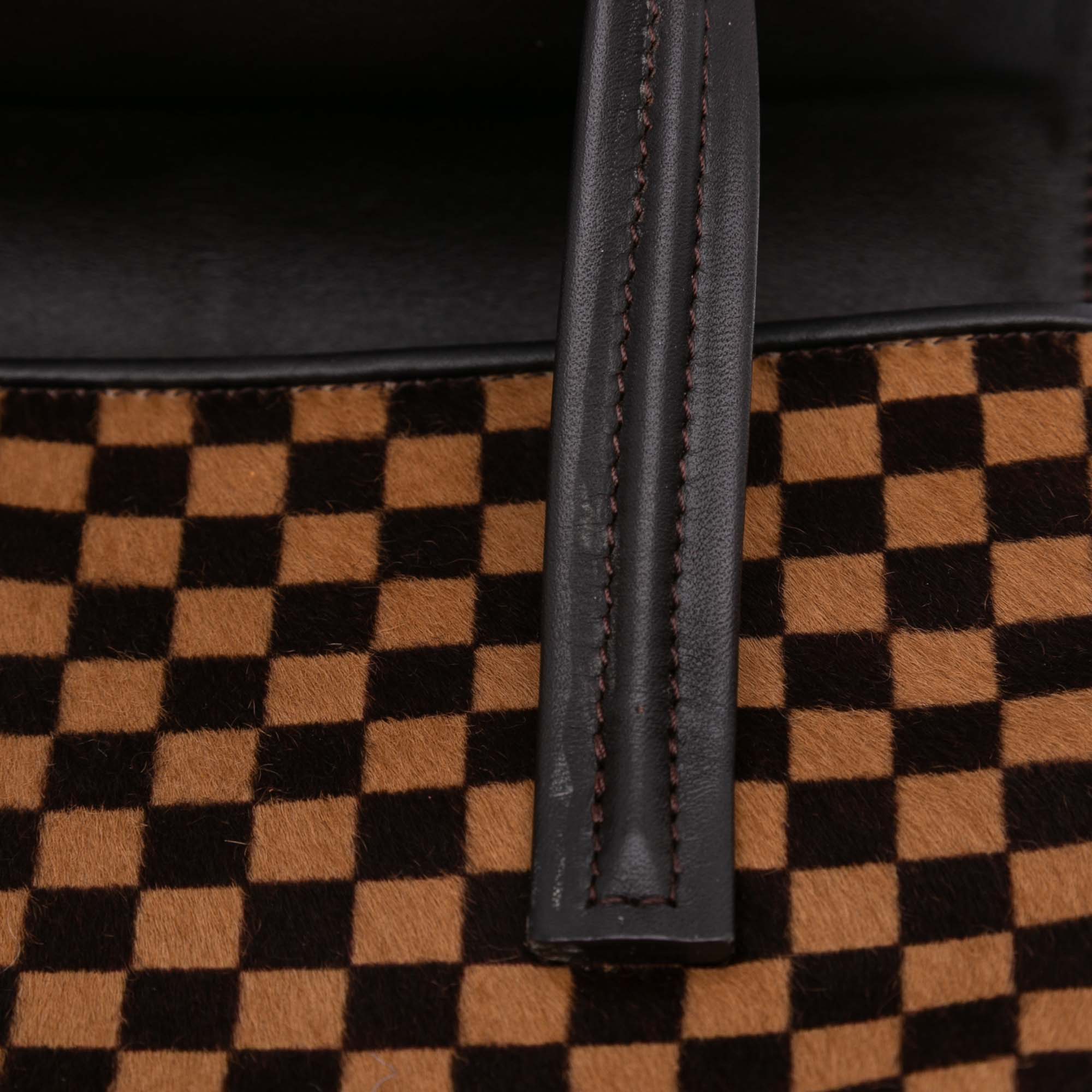 Damier Sauvage Lionne