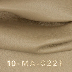 Medium DiorDouble Chain Bag_5