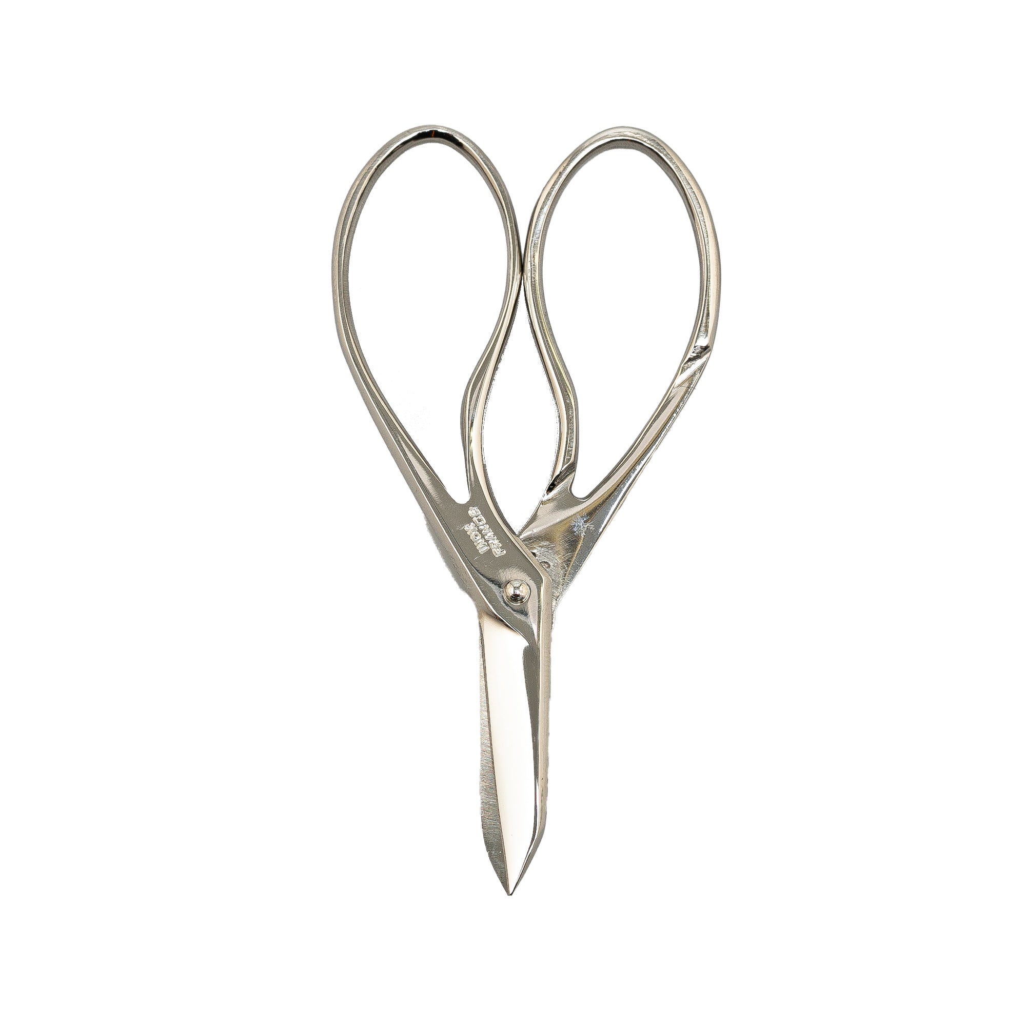 Stainless Steel Scissors with Leather Case