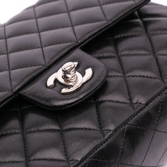 Medium Classic Lambskin Double Flap