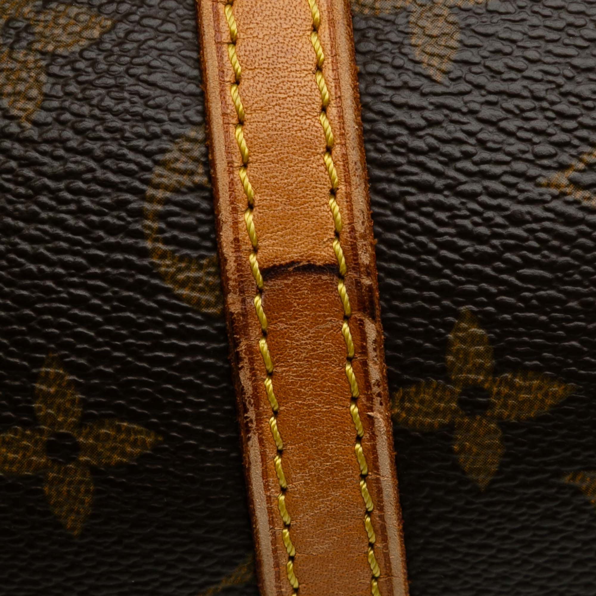 Monogram Papillon 30