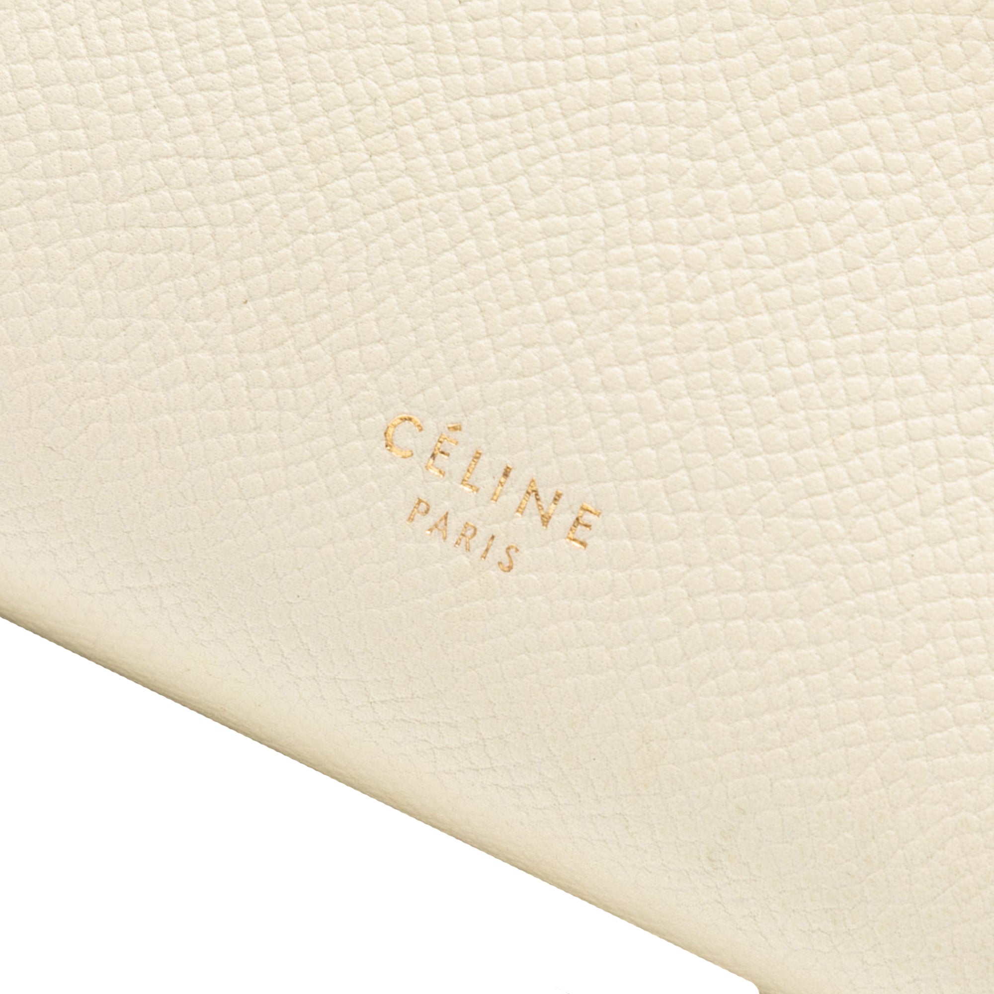 Nano Grained Calfskin Belt Bag