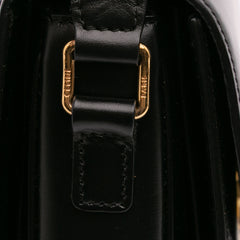 Large Shiny Calfskin Triomphe Crossbody