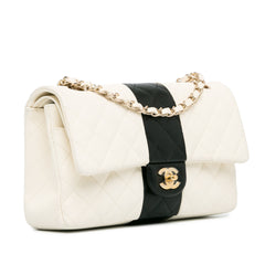 Medium Bi-Stripe Classic Lambskin Double Flap_1