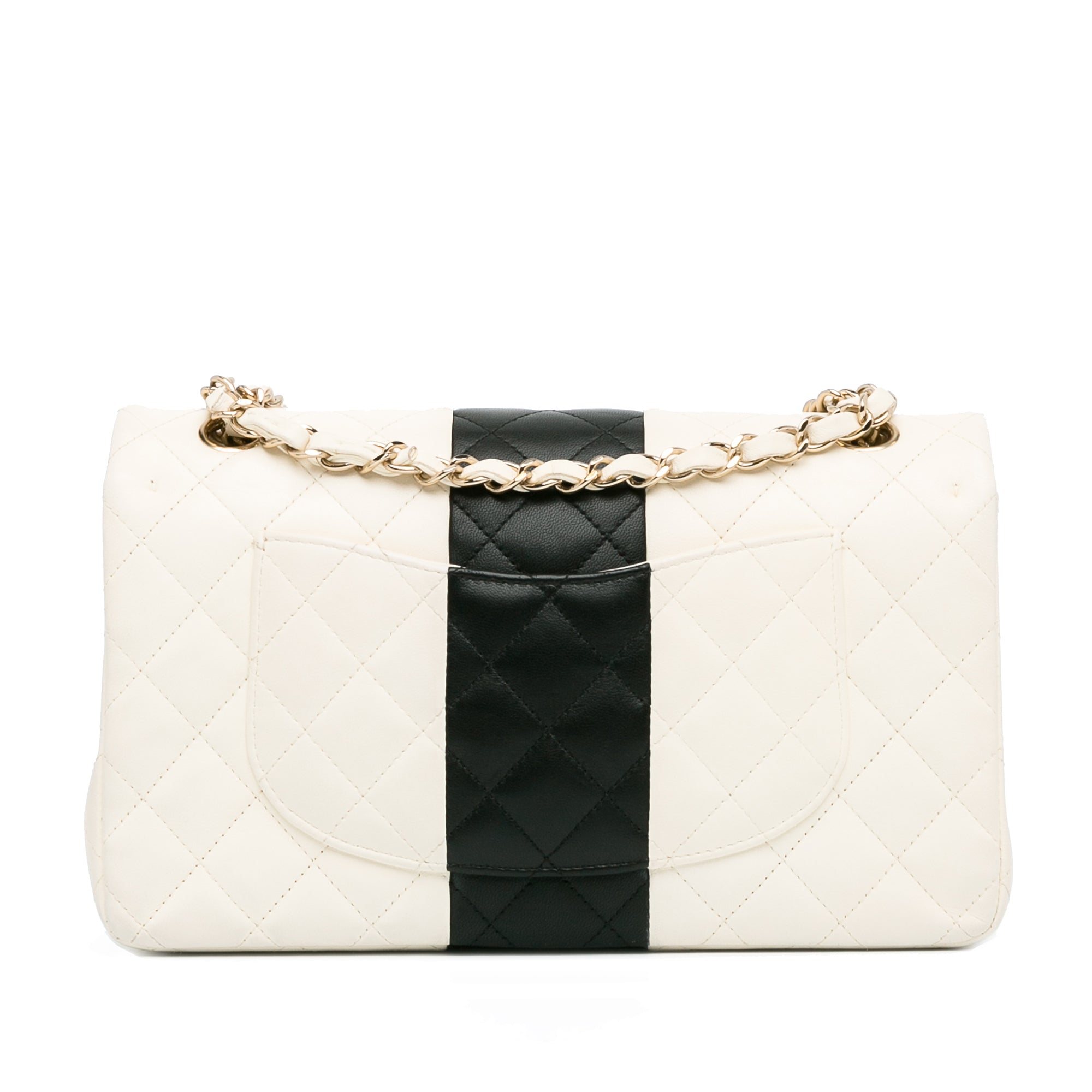 Medium Bi-Stripe Classic Lambskin Double Flap_2