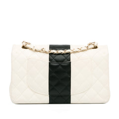 Medium Bi-Stripe Classic Lambskin Double Flap_2