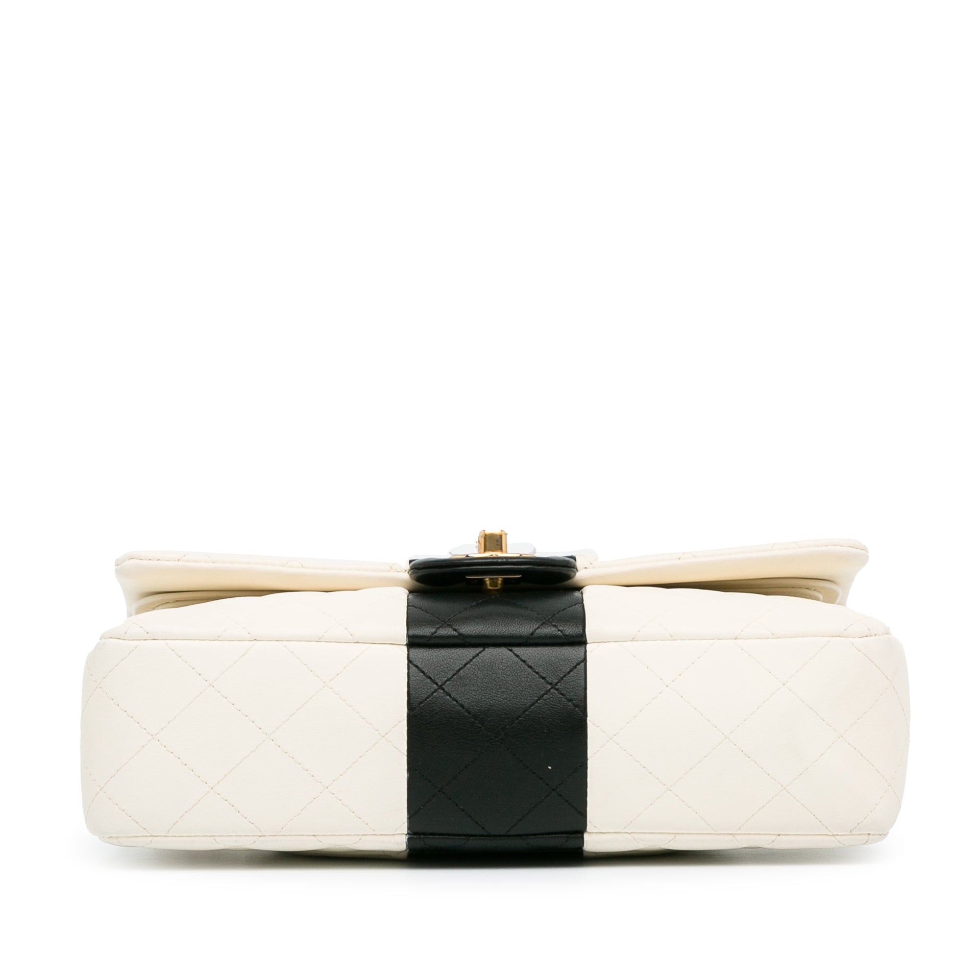 Medium Bi-Stripe Classic Lambskin Double Flap_3