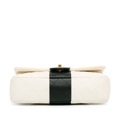 Medium Bi-Stripe Classic Lambskin Double Flap_3