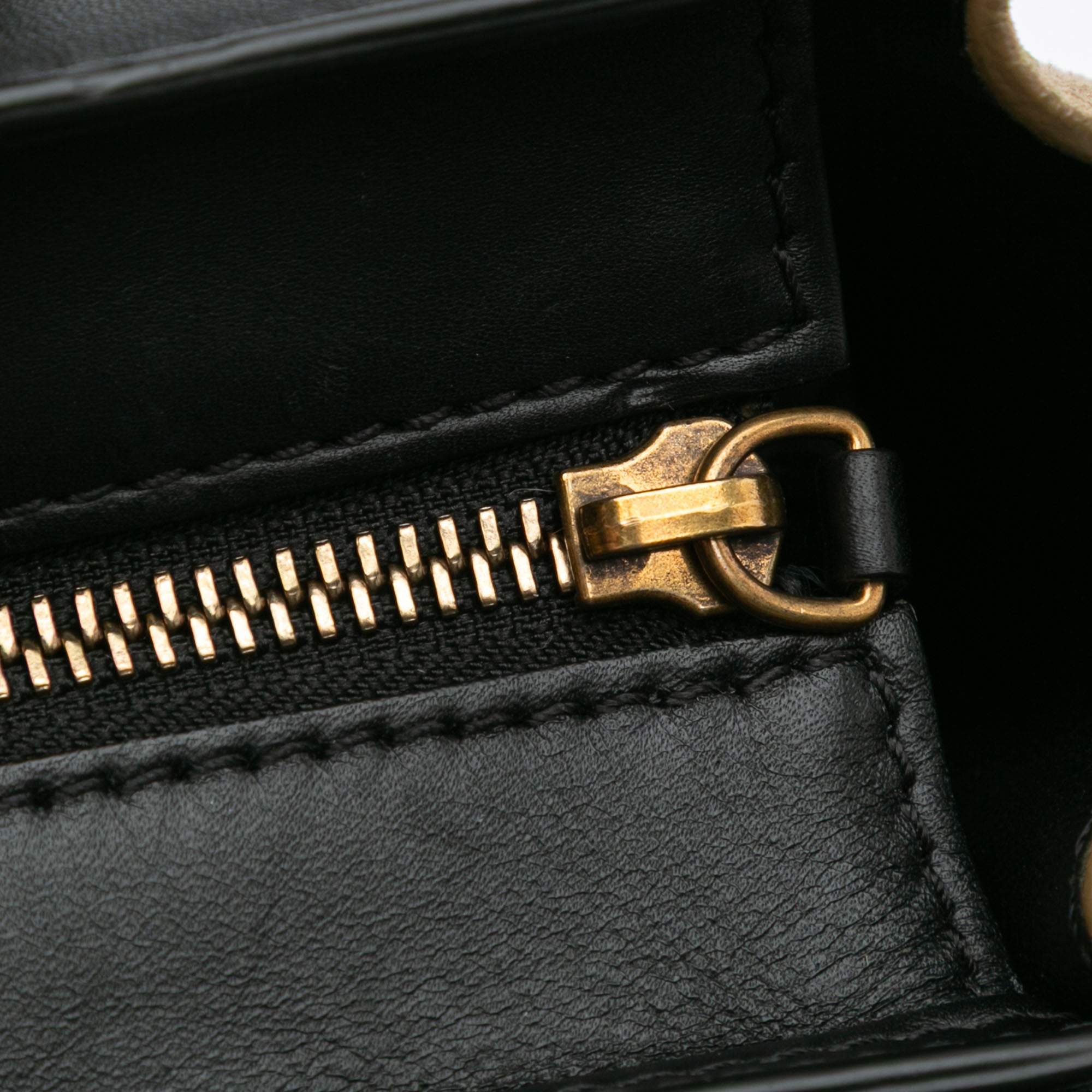 Nano Tricolor Leather Luggage Tote