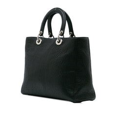 Large Canyon Grained Lambskin Lady Dior