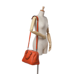 Medium Leather Amazona 75 Satchel