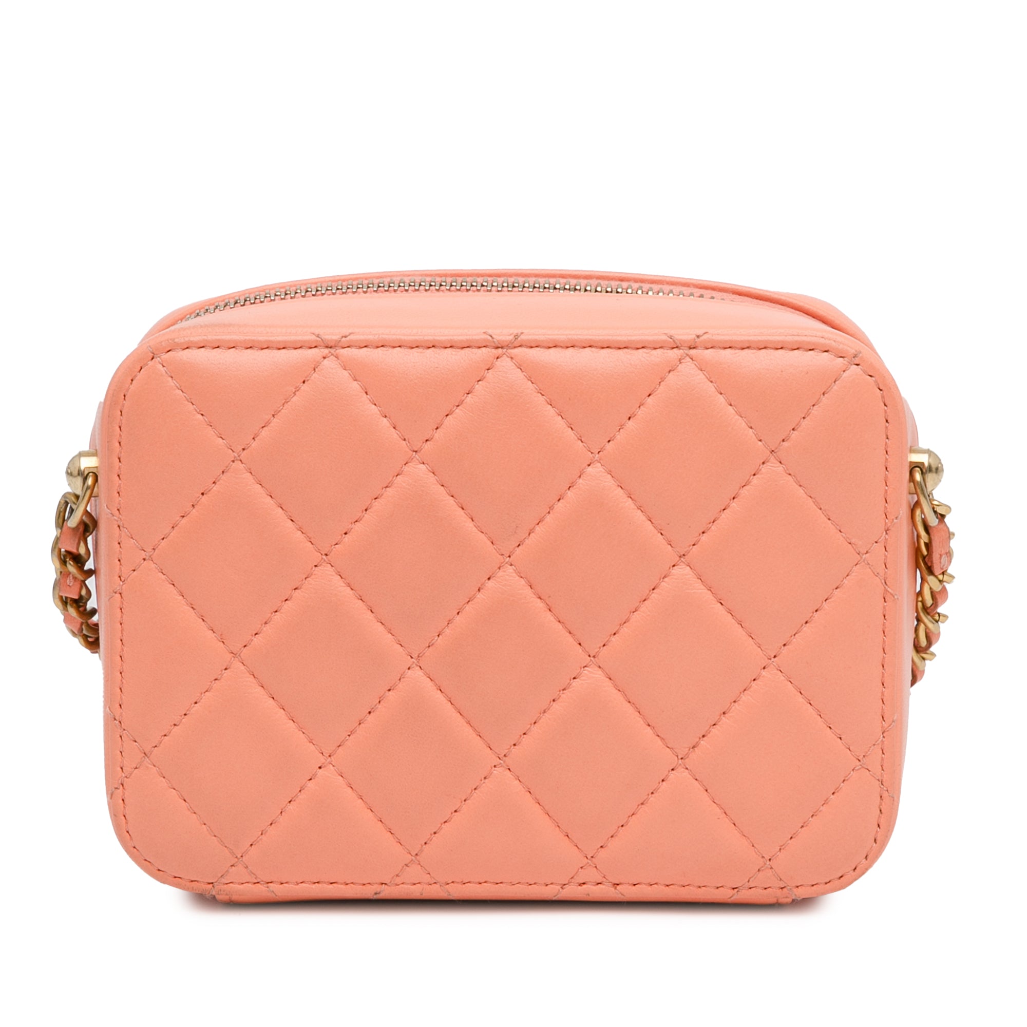 CC Quilted Lambskin Pearl Crush Camera Bag_2