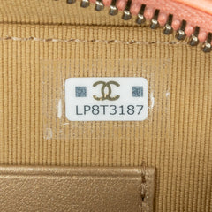 CC Quilted Lambskin Pearl Crush Camera Bag_8