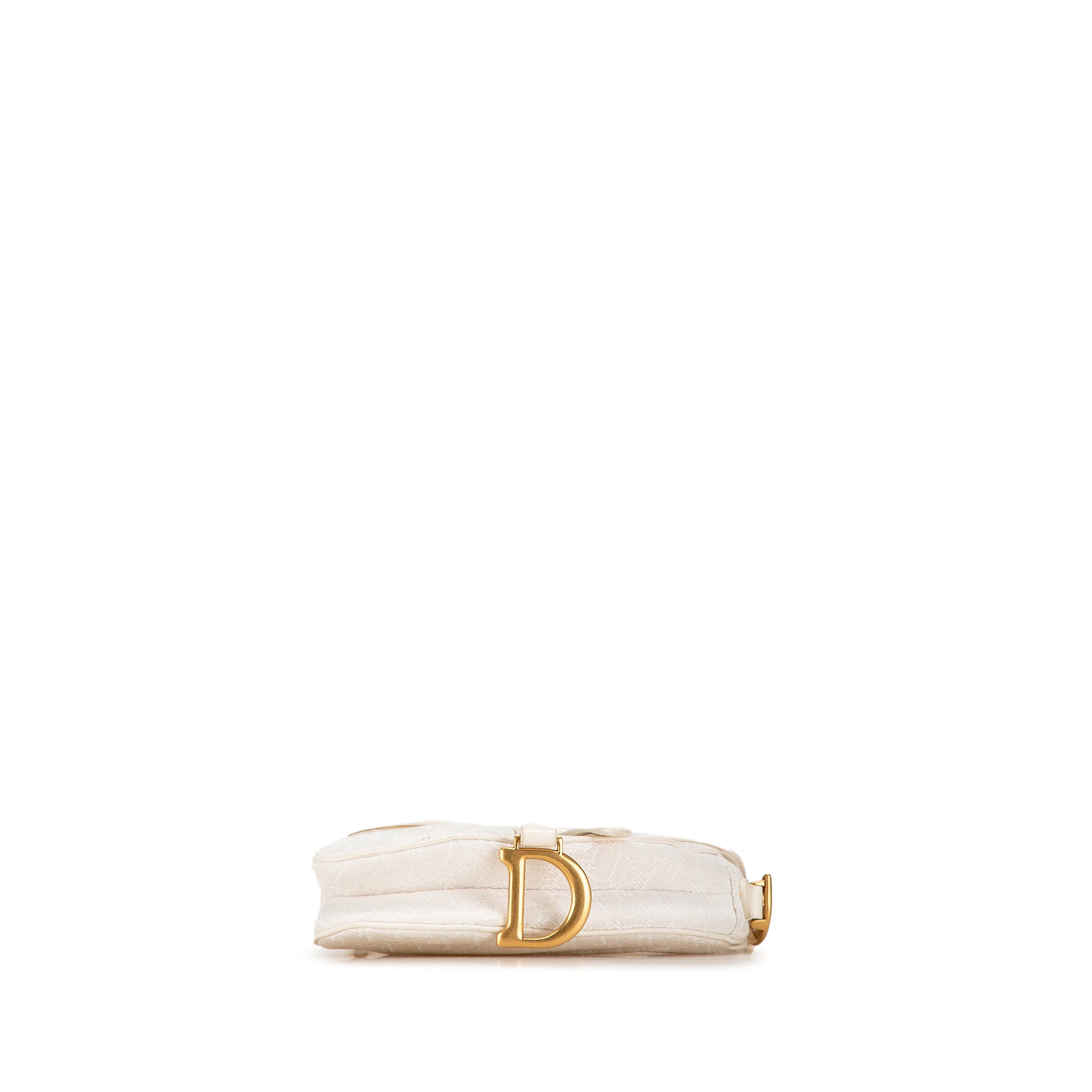 Mini Oblique Canvas Saddle Bag
