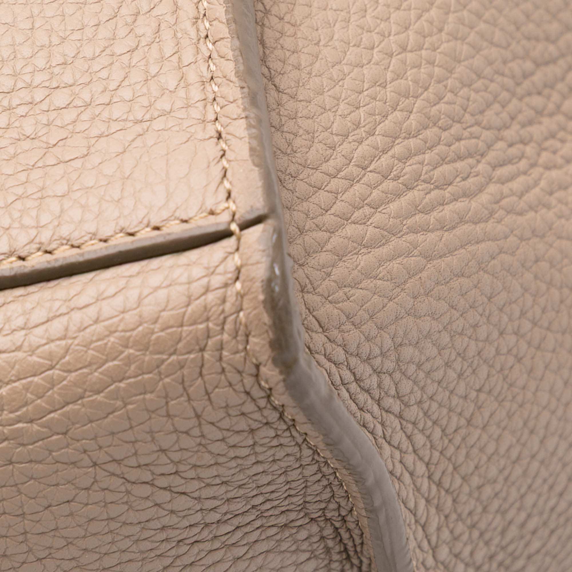 Small Grained Calfskin Big Bag