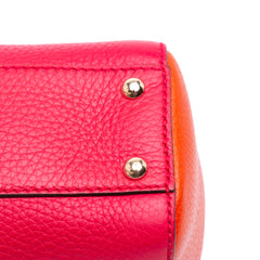 Small Bicolor Calfskin Bamboo Shopper Satchel