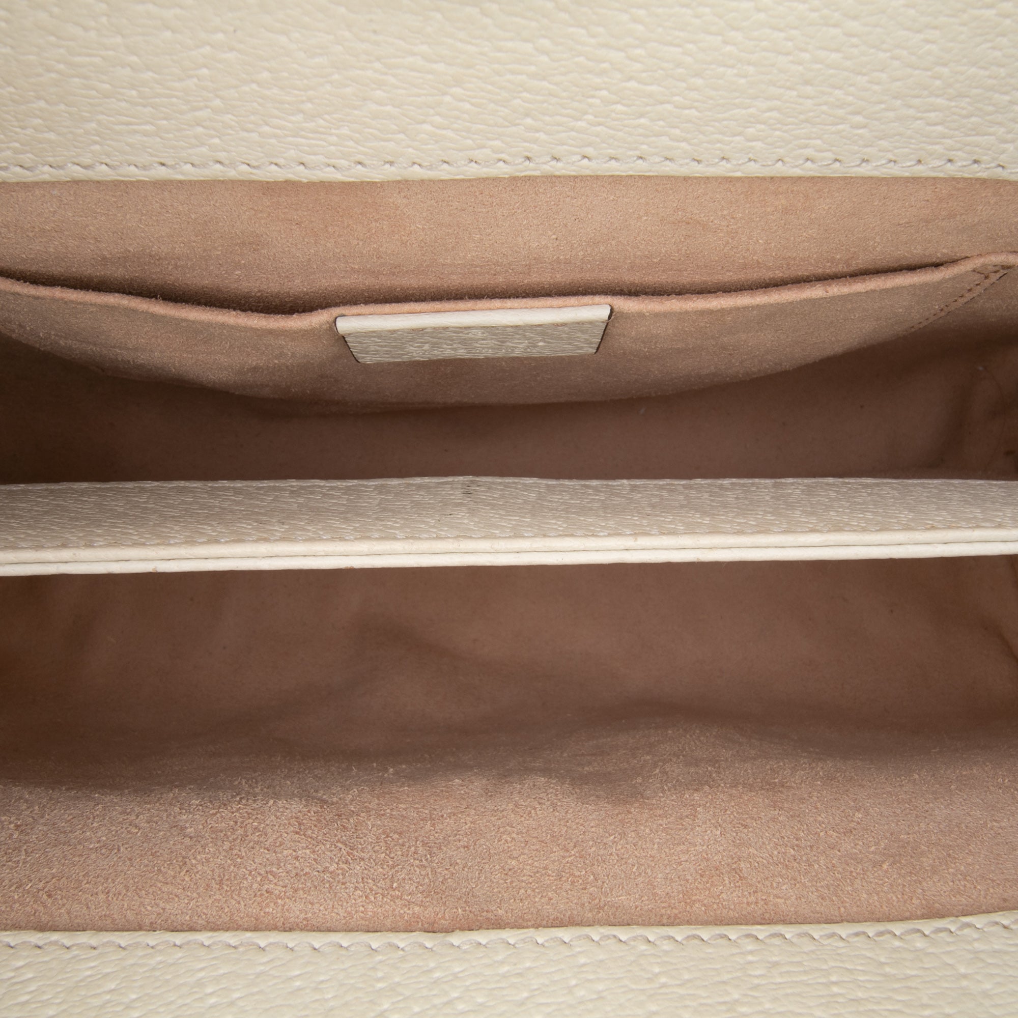 Small Calfskin Ophidia Chain Crossbody
