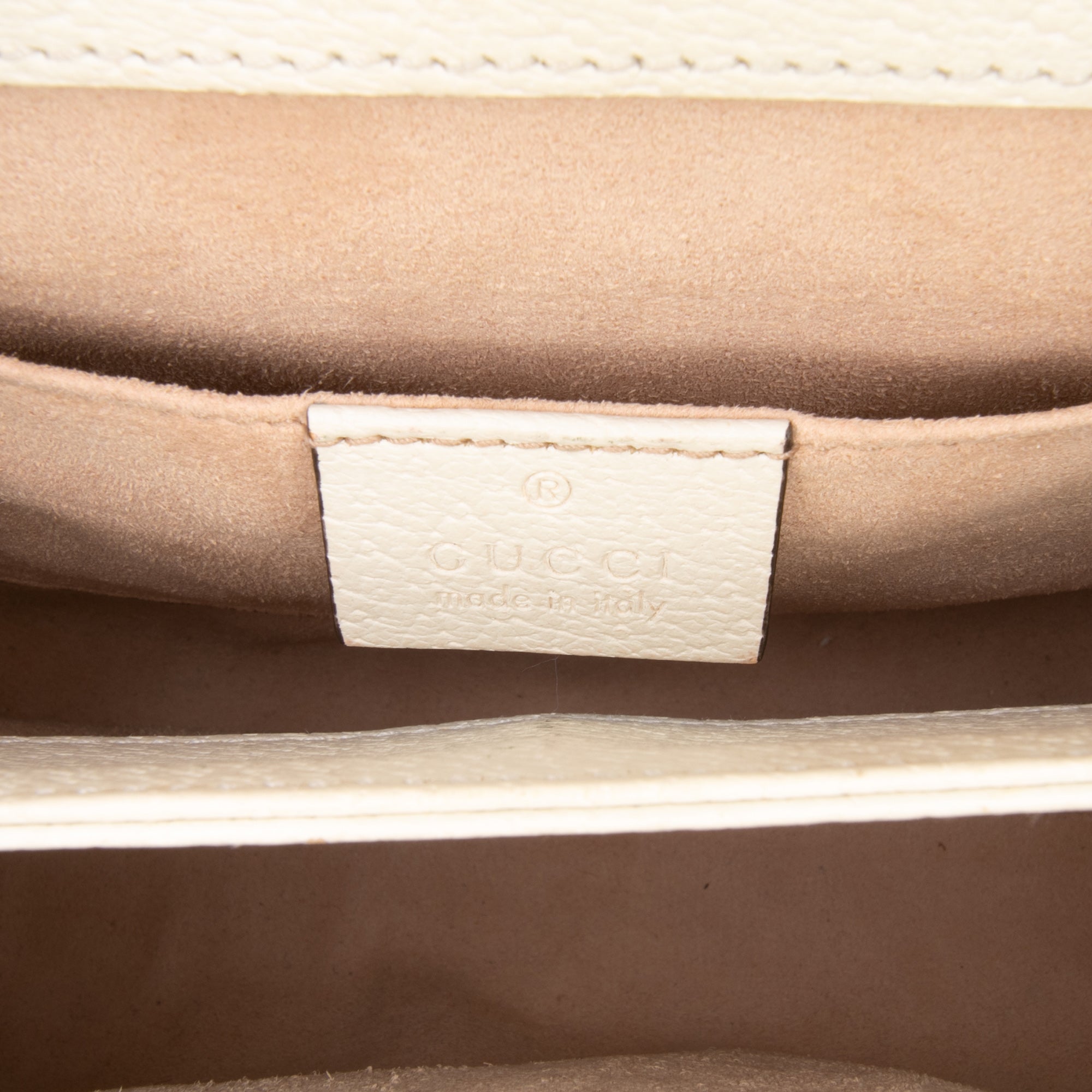 Small Calfskin Ophidia Chain Crossbody