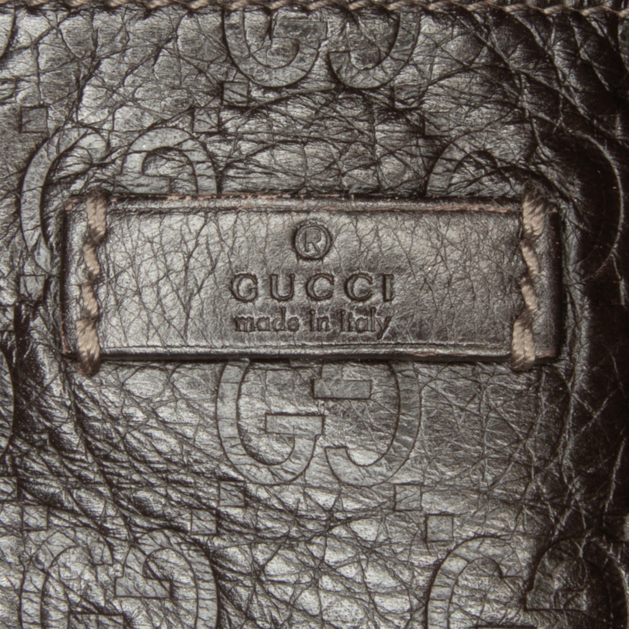 Guccissima Crossbody_7