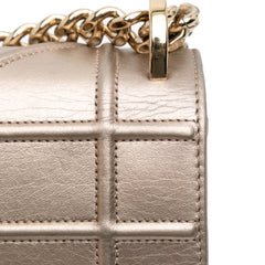 Medium Metallic Grained Calfskin Diorama Flap
