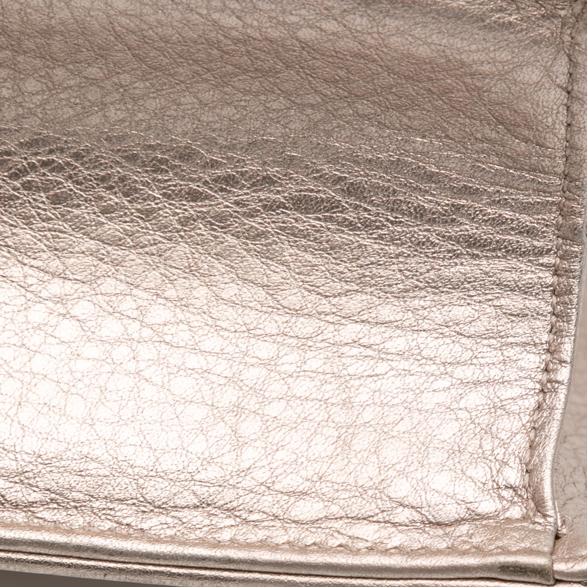 Medium Metallic Grained Calfskin Diorama Flap