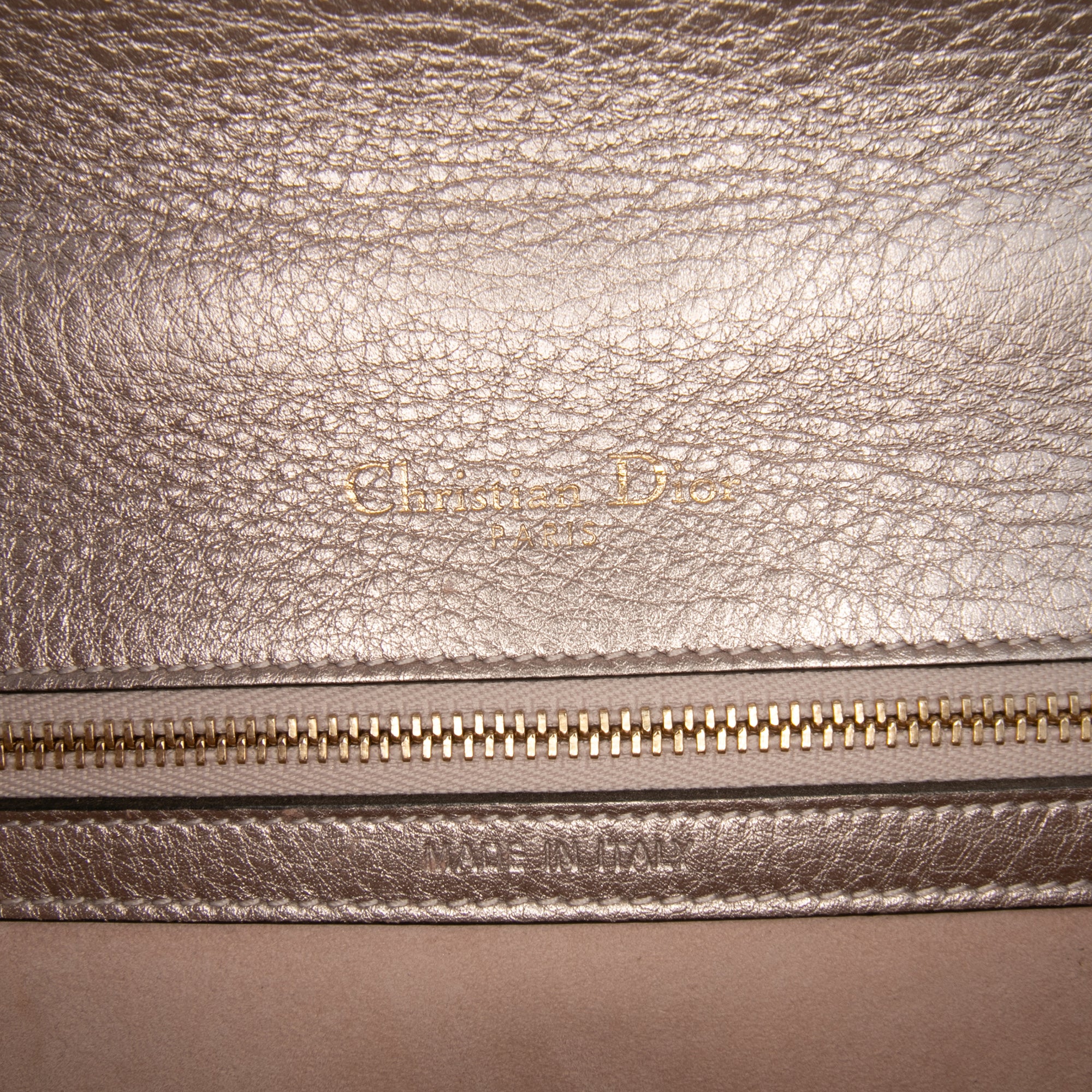 Medium Metallic Grained Calfskin Diorama Flap
