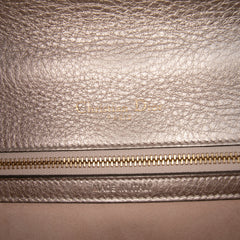 Medium Metallic Grained Calfskin Diorama Flap