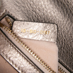 Medium Metallic Grained Calfskin Diorama Flap