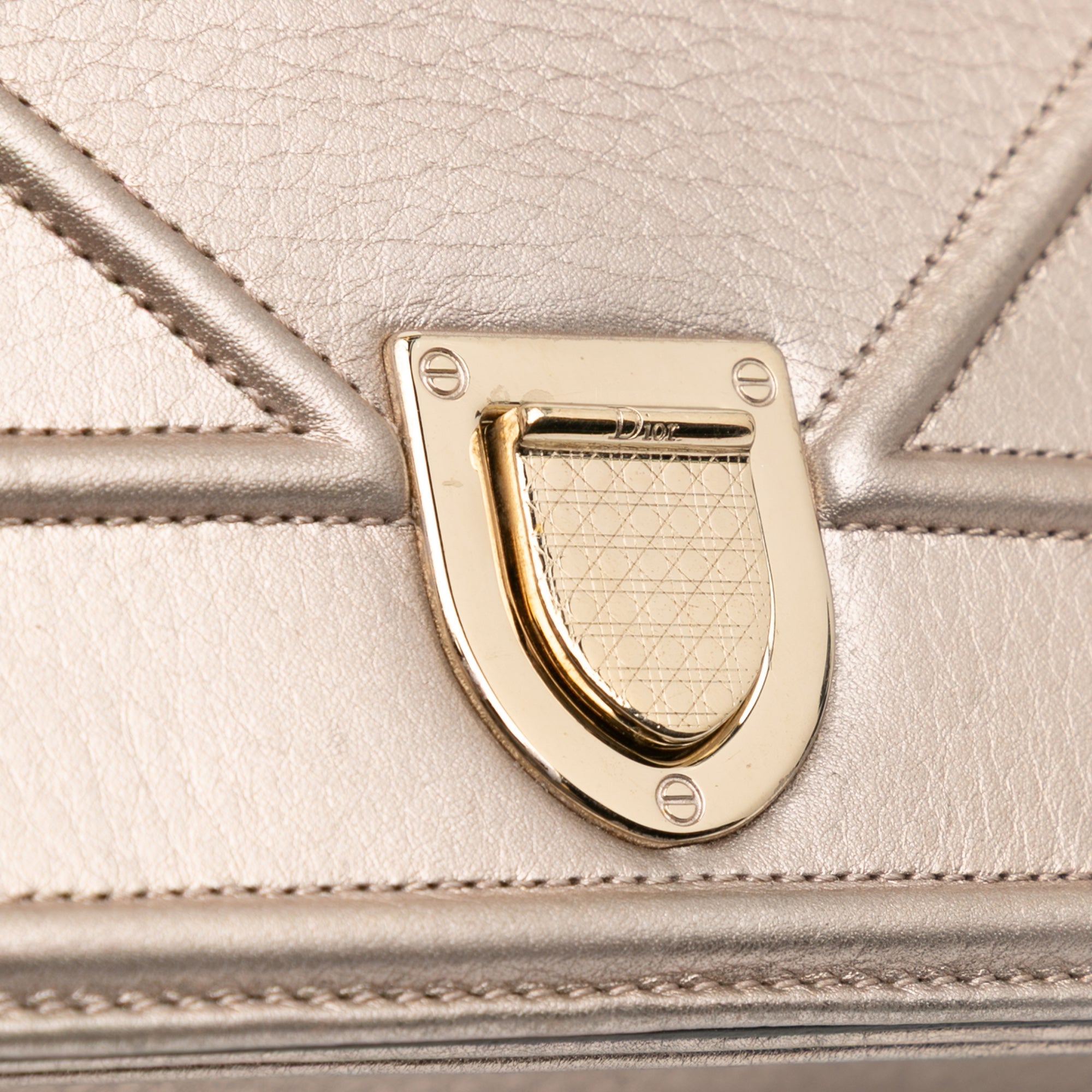 Medium Metallic Grained Calfskin Diorama Flap