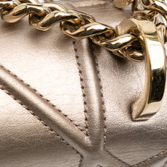 Medium Metallic Grained Calfskin Diorama Flap