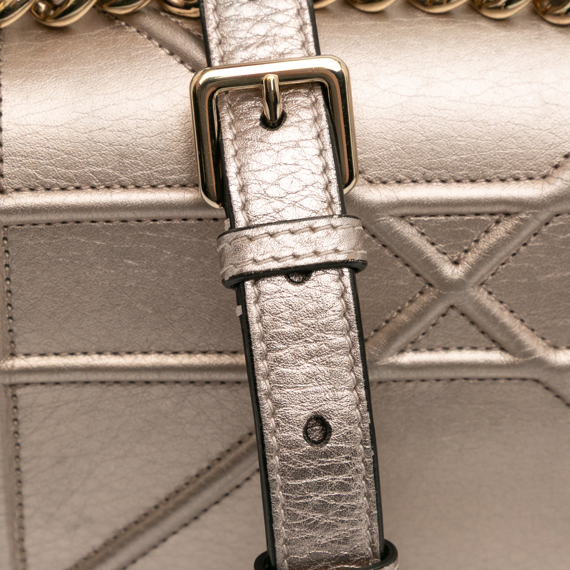 Medium Metallic Grained Calfskin Diorama Flap