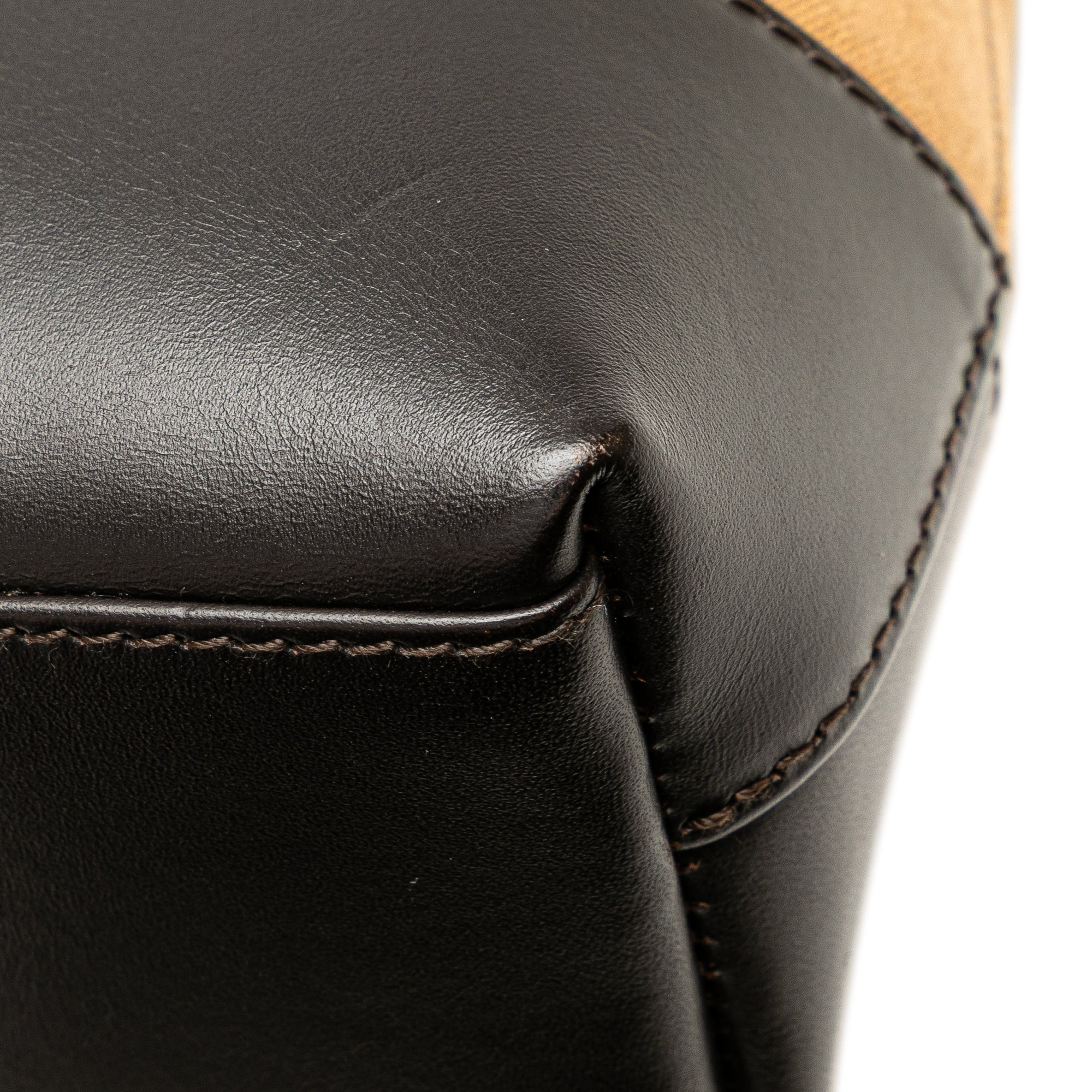 Canvas Web Shoulder Bag