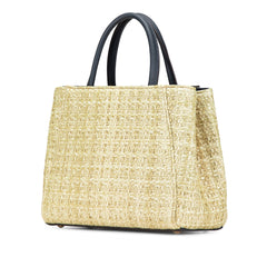 Small Woven Raffia Vitello Regular 2Jours Satchel