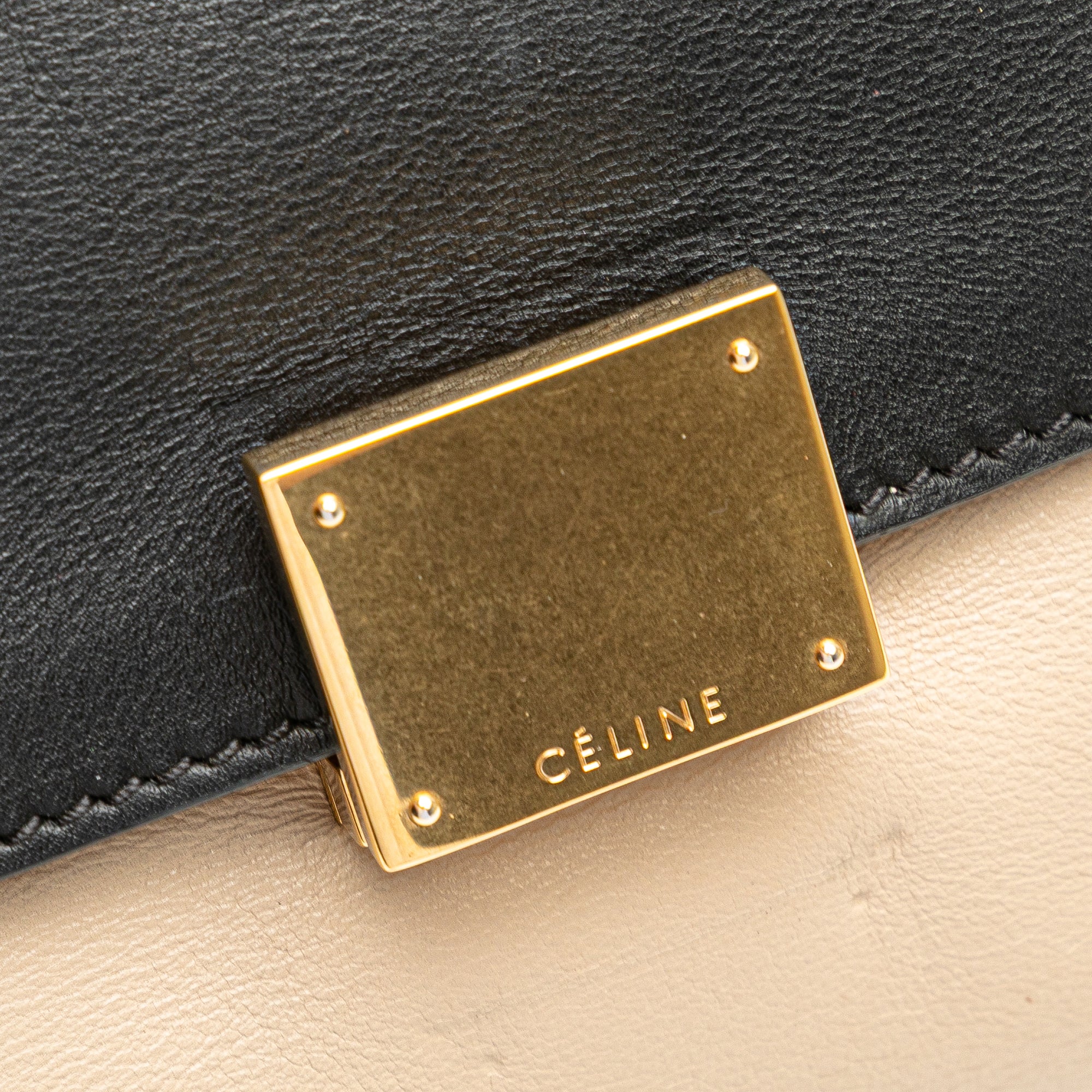 Medium Bicolor Calfskin and Suede Trapeze Satchel