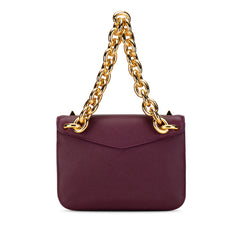 Mount Envelope Chain Bag_2