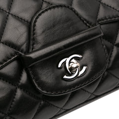 Small Quilted Lambskin Coco Loop Flap
