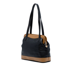 Bicolor Leather Shoulder Bag