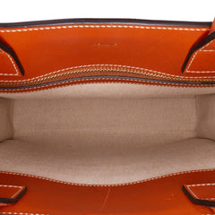 Small Canvas Triomphe Maillon Vertical Cabas Satchel