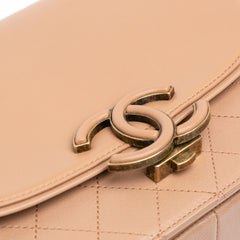 Medium Calfskin Coco Curve Flap