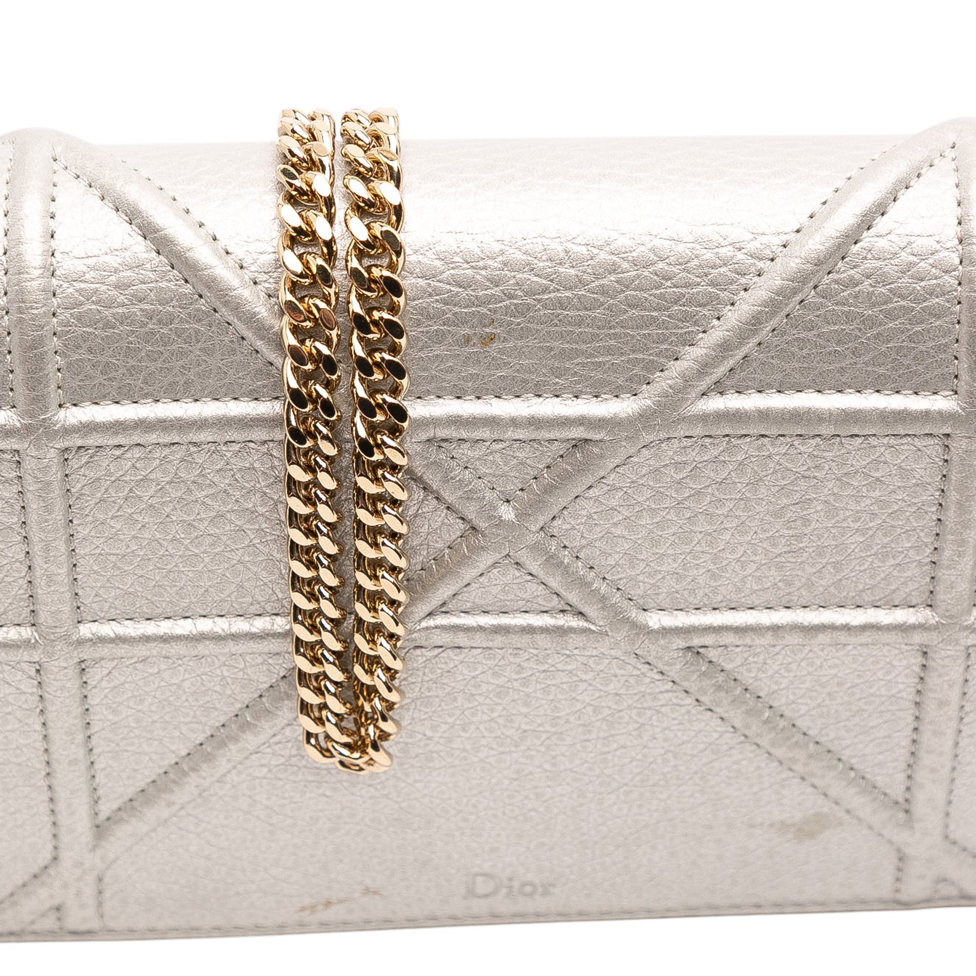 Metallic Grained Calfskin Diorama Wallet On Chain