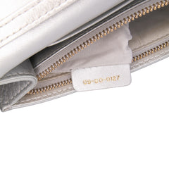Metallic Grained Calfskin Diorama Wallet On Chain
