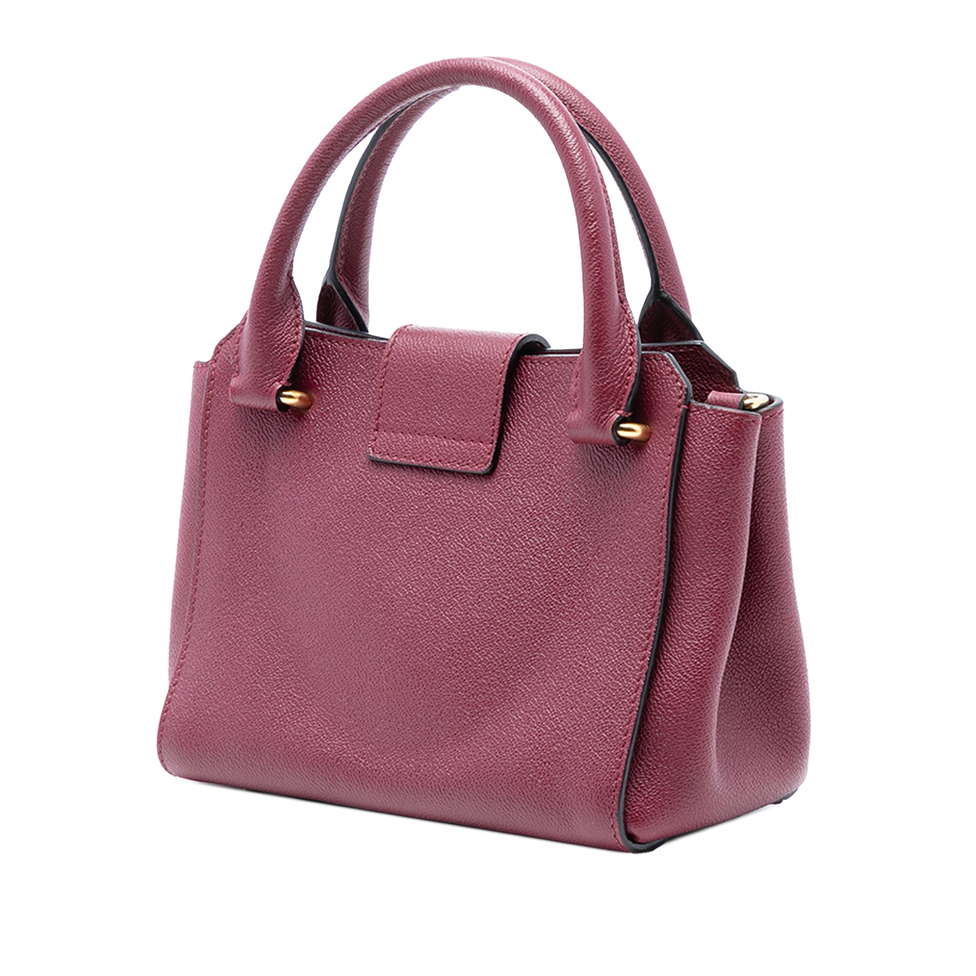 Small Grained Leather Buckle Tote