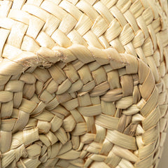 Small Raffia Basket Tote