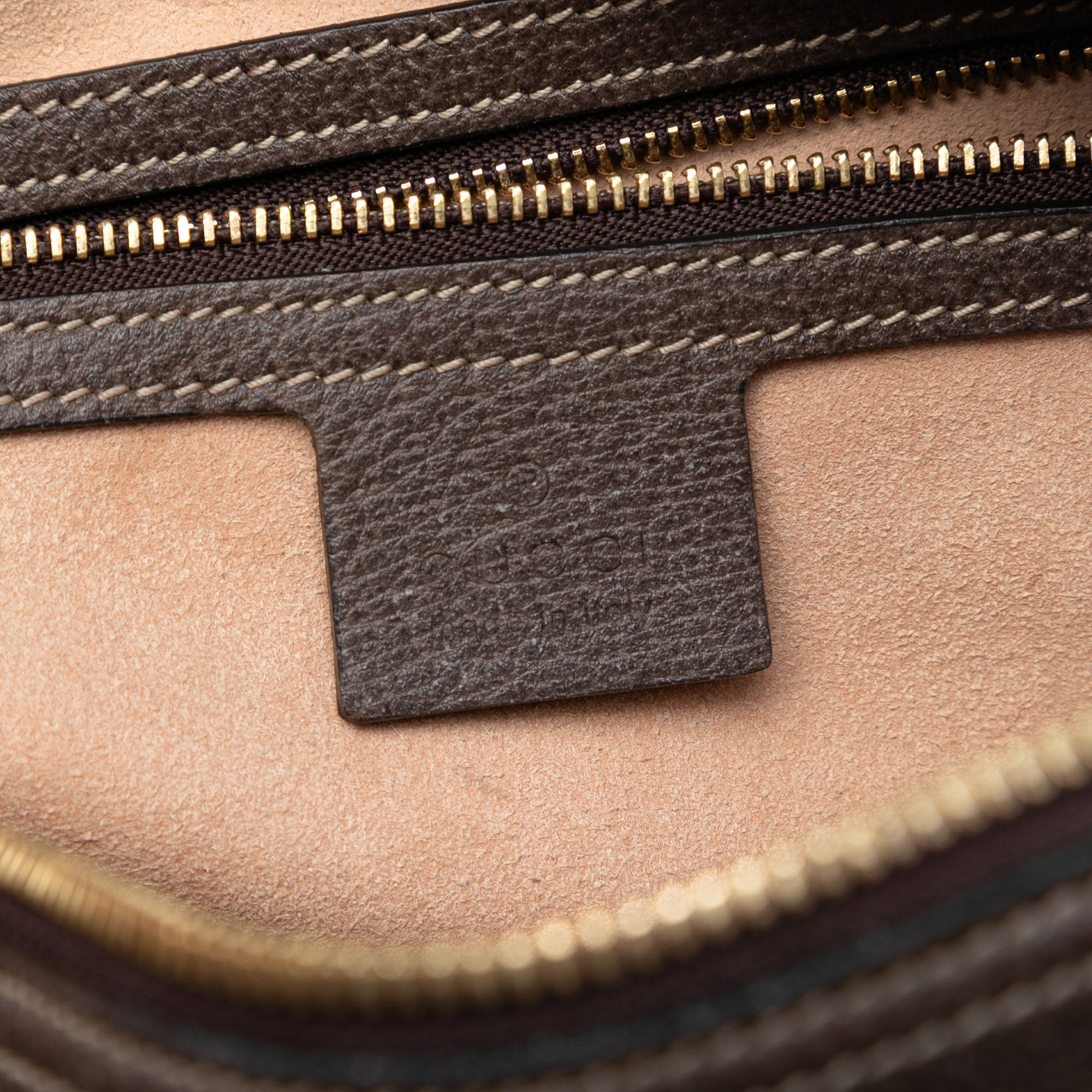 GG Supreme Ophidia Crossbody